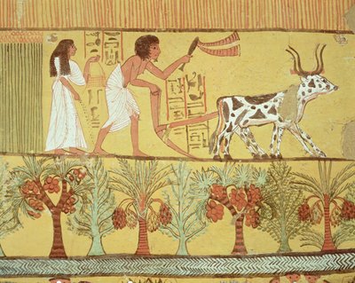 Sennedjem und seine Frau auf den Feldern säen und pflügen, aus dem Grab